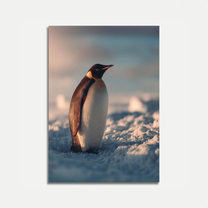 Majestætisk Kejserpingvin Plakat