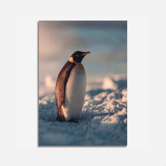 Majestic Emperor Penguin Poster