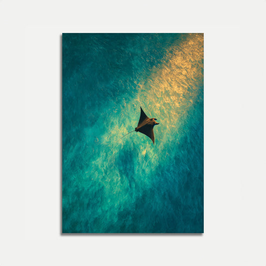 Manta Ray Oceaanvlucht Poster