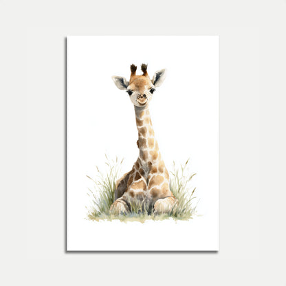 Baby Giraffe Sitting Poster