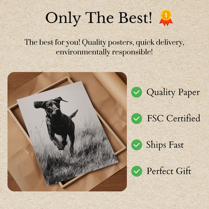 Dynamic Black Dog Running Poster