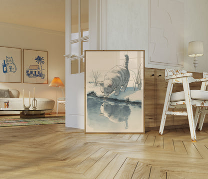 Reflective Cat Water Poster