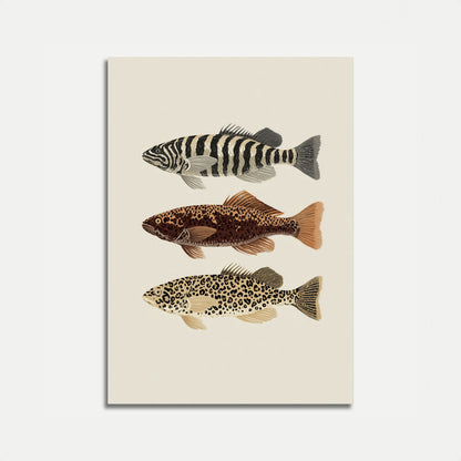 Exotic Fish Species Poster