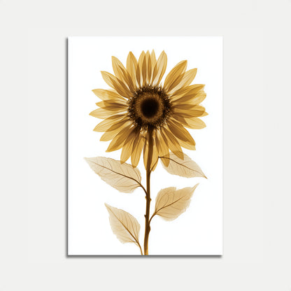 Golden Sunflower Botanical Poster