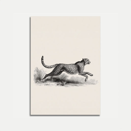 Póster de vida silvestre del guepardo corriendo