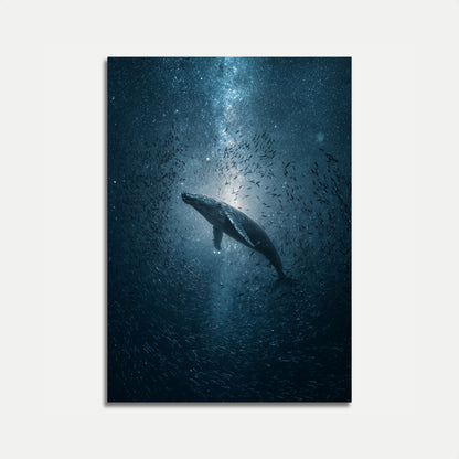 Celestial Ocean Whale Poster
