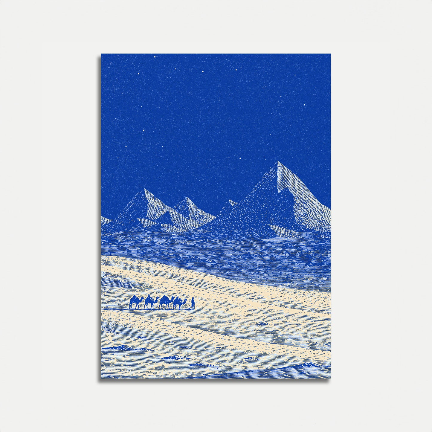 Posters: Kamelkaravane under stjernerne