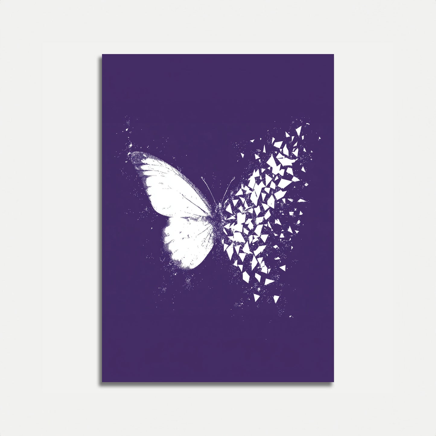 Póster artístico de la desintegración de la mariposa