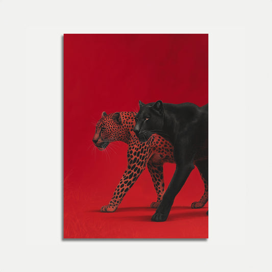 Dualer Feliner Kontrast-Poster