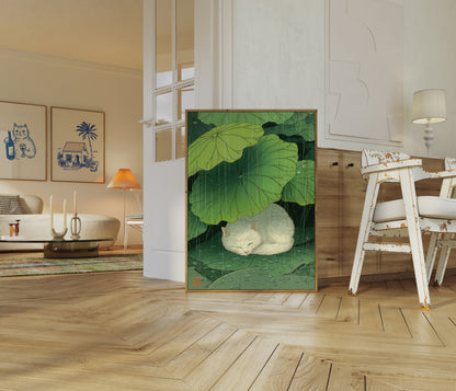 Witte Kat in Regen Poster