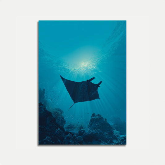 Plakat Manta Ray Ocean Depths