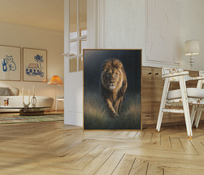 Majestic Lion in Golden Grass Poster