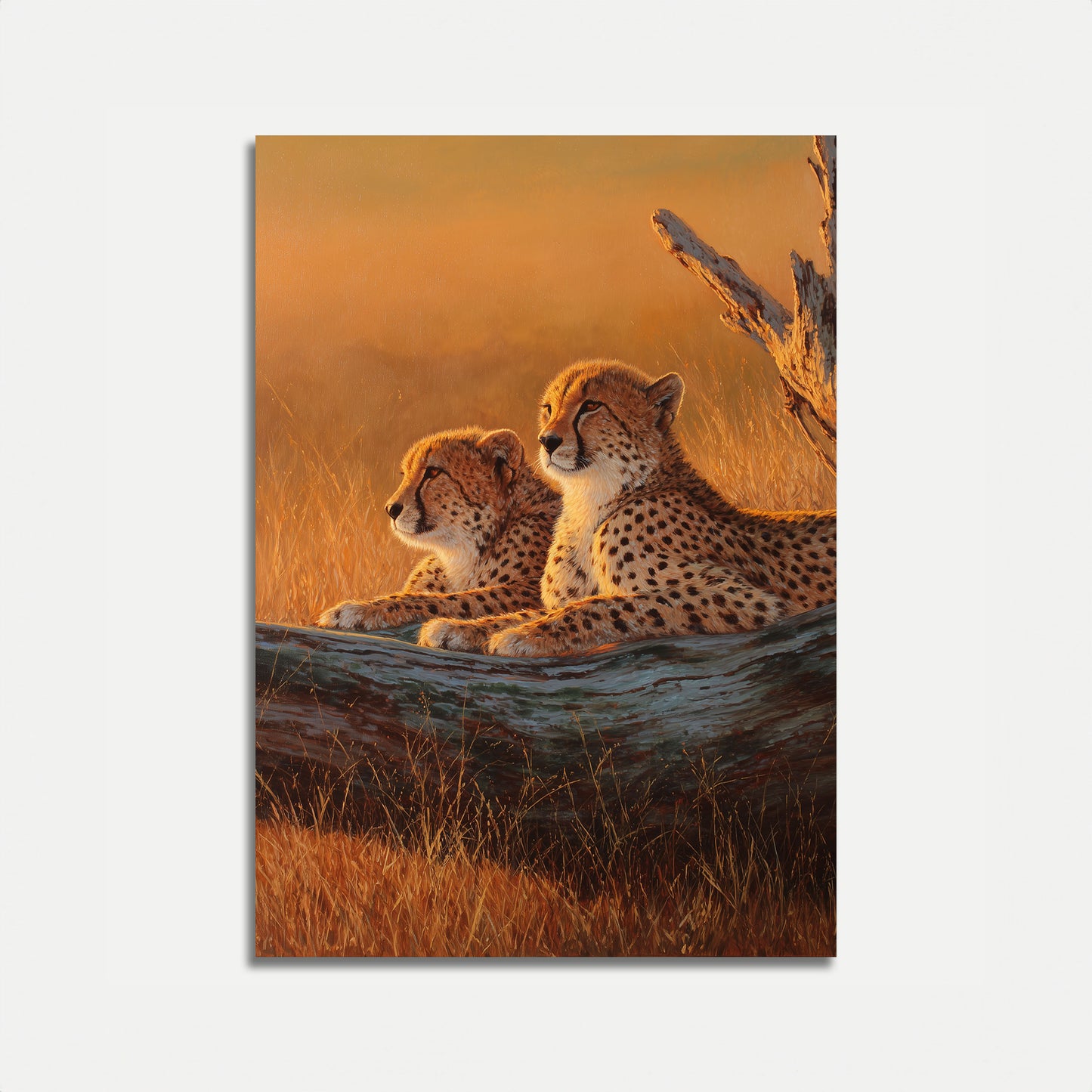 Cheetahs in Golden Savanna Poster