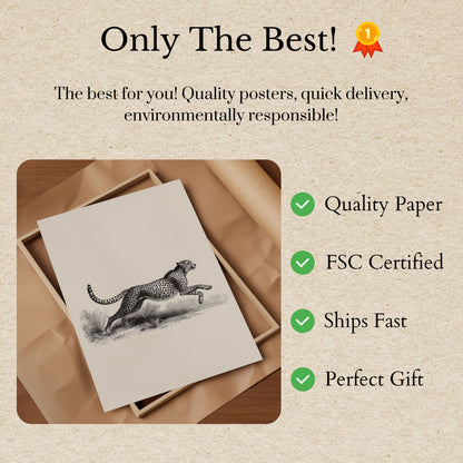 Póster de vida silvestre del guepardo corriendo