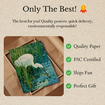White Egret Fishing in Wetlands Poster