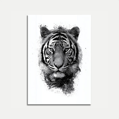 Intense Tiger Sketch Poster