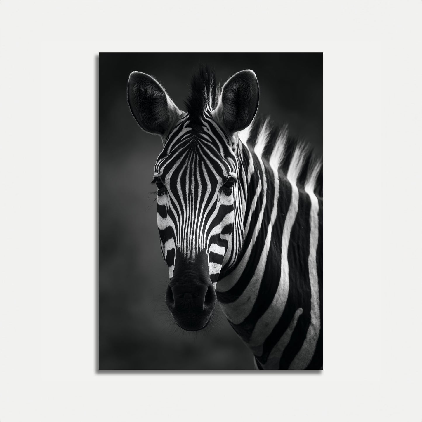 Black and White Zebra Poster