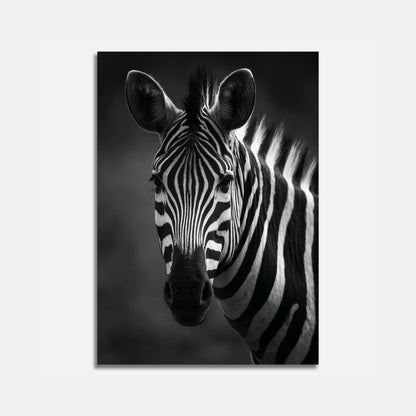 Black and White Zebra Poster