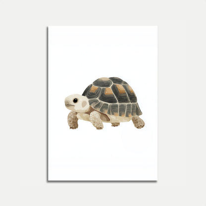 Adorable Tortoise Illustrated Poster