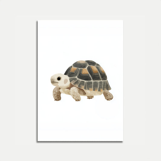 Adorable Tortoise Illustrated Poster