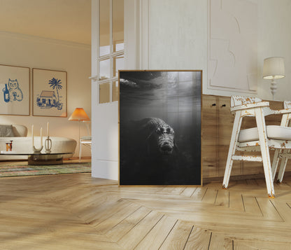 Underwater Predator Black and White Poster