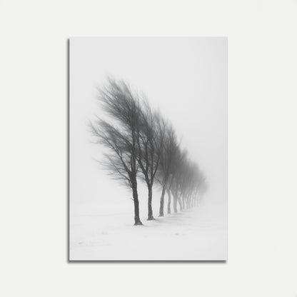 Misty Winter Tree Line Poster