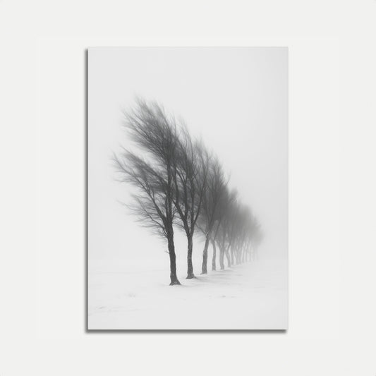 Póster de Línea de Árboles en Invierno Brumoso