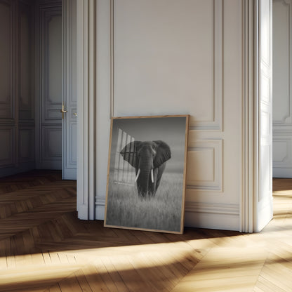 Majestic Elephant in Grasslands Poster