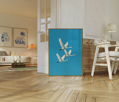 Eleganta svanar i flykt Poster