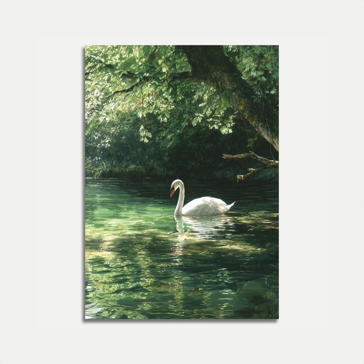 Póster del lago de los cisnes blancos serenos