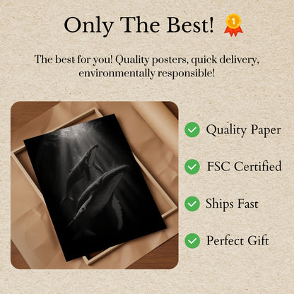 Buckelwale steigen ins Licht Poster