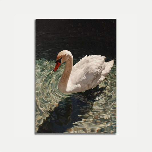 Elegante póster de cisne en el agua