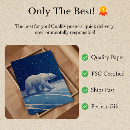 Póster de la noche estrellada de Arctic Wanderer