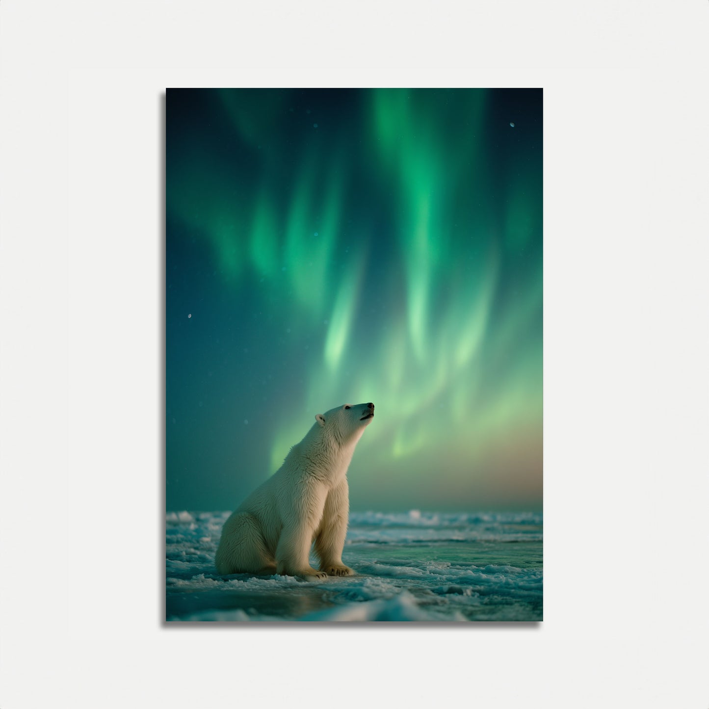 Arctic Serenity Northern Lights Poster