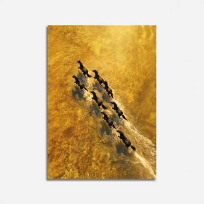 Wild Horses Golden Rush Poster