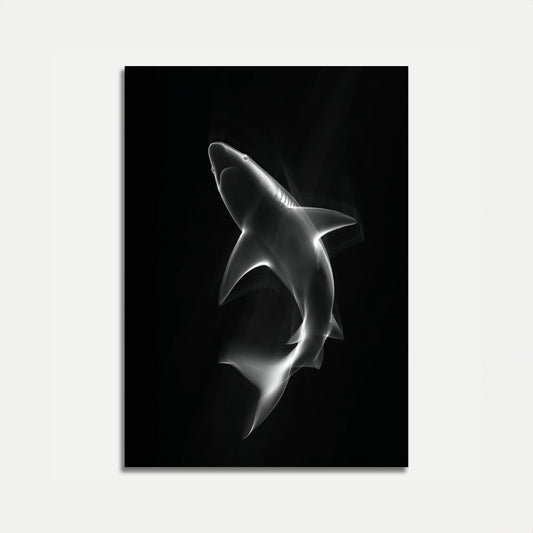 Ethereal Shark Motion Poster