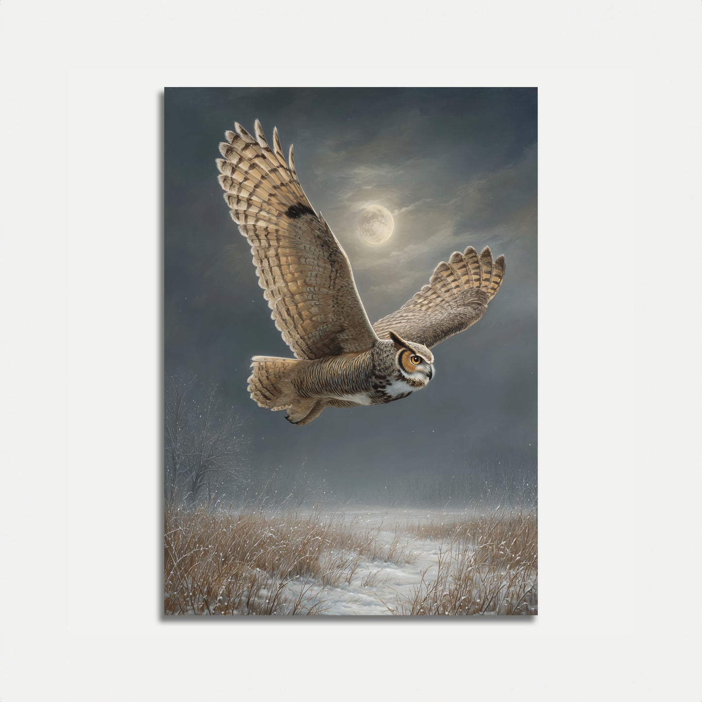 Barn Owl in Moonlight Poster