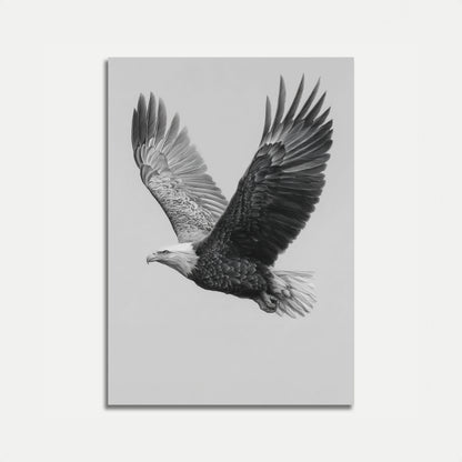 Majestic Eagle in Flight Poster