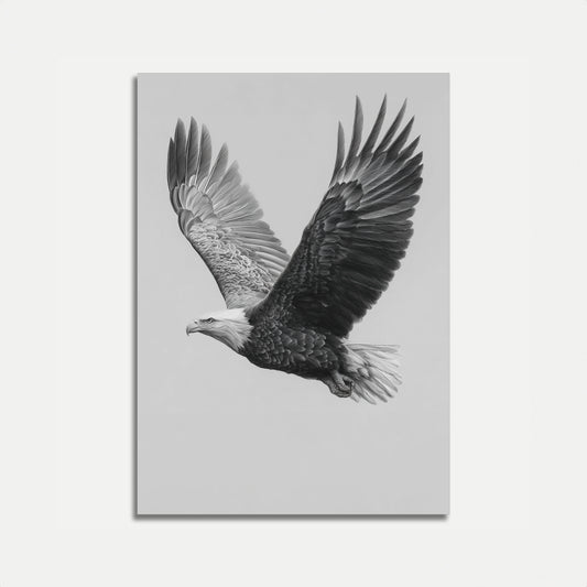 Majestic Eagle in Flight Poster