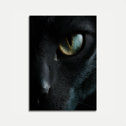 Mysterious Black Cat Eye Poster