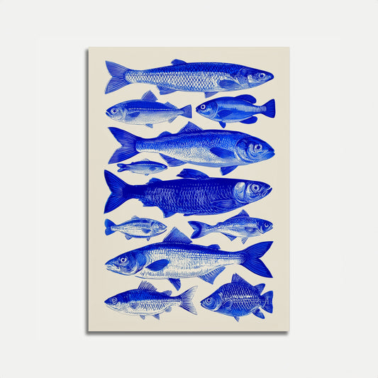 Blue Fish Varieties Poster