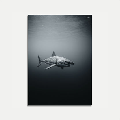 Apex Predator Ocean Poster