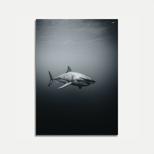 Apex Predator Ocean Poster