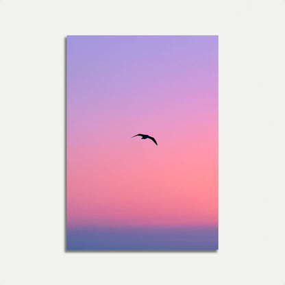 Bird Flying at Sunset Poster