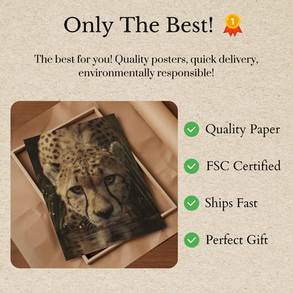 Póster de guepardo bebiendo agua intensamente