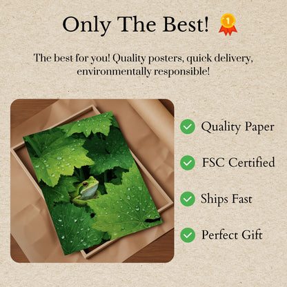 Green Frog Among Lily Pads Poster