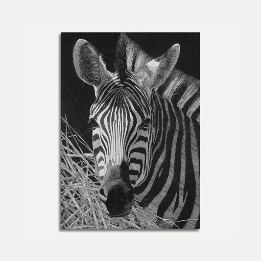 Zebra in Monochrome Wilderness Poster