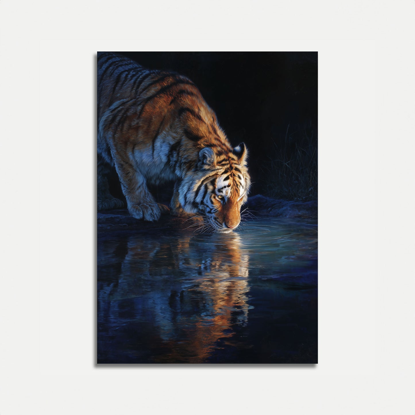 Tiger Drinking at Moonlit Water Poster