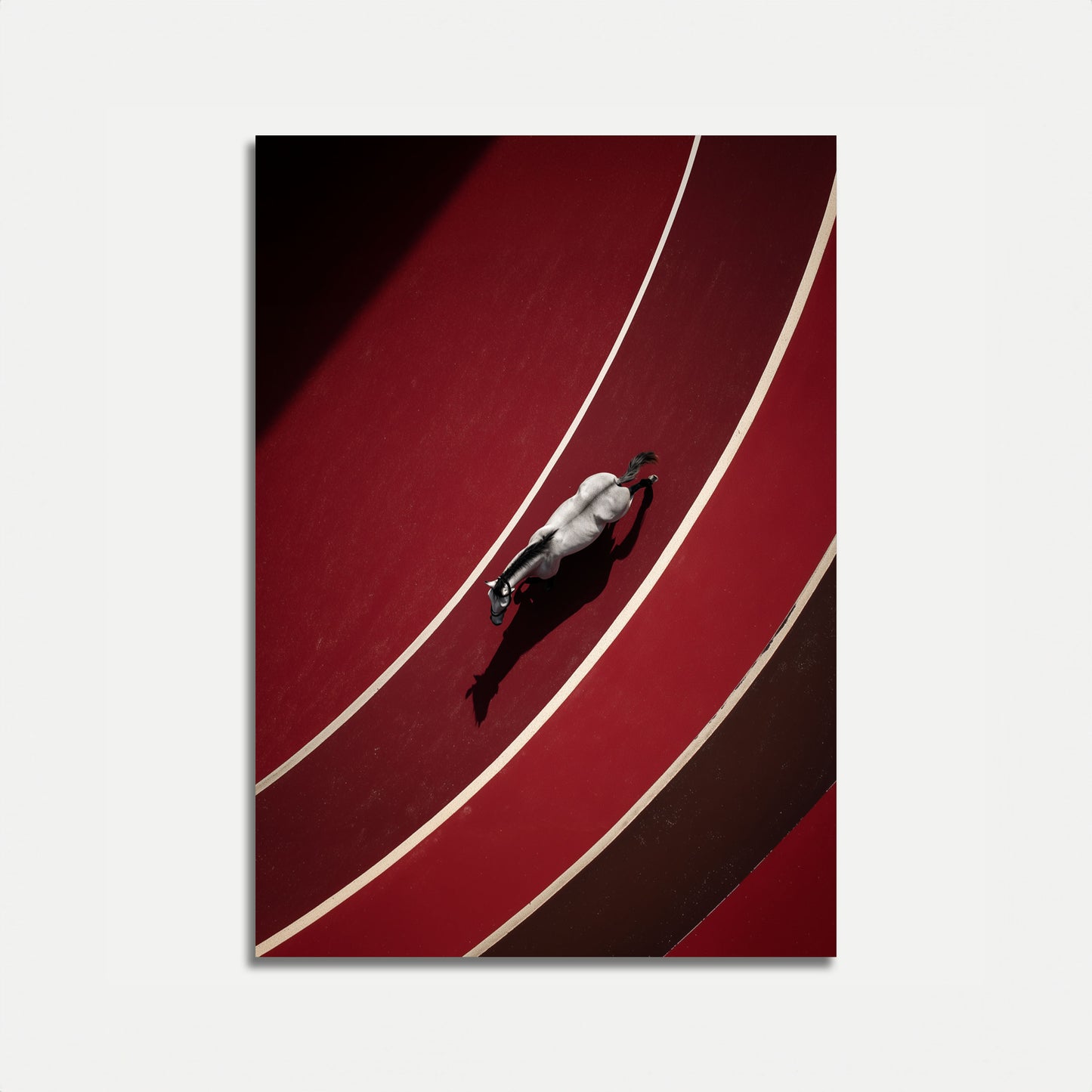 Running Horse Track Poster