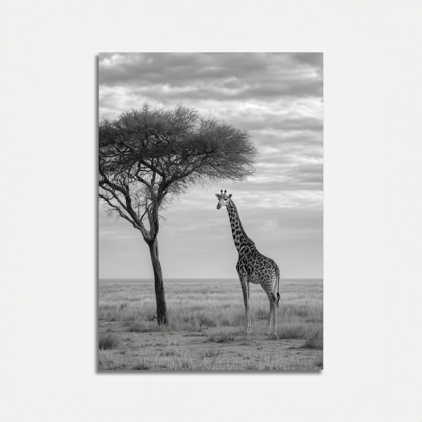 Póster de paisaje africano con jirafa solitaria